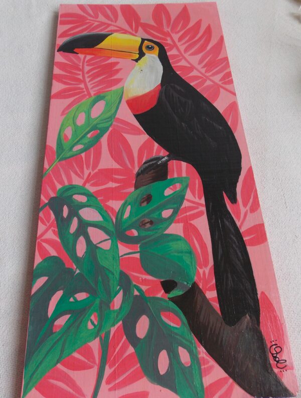 O tucano - Image 3