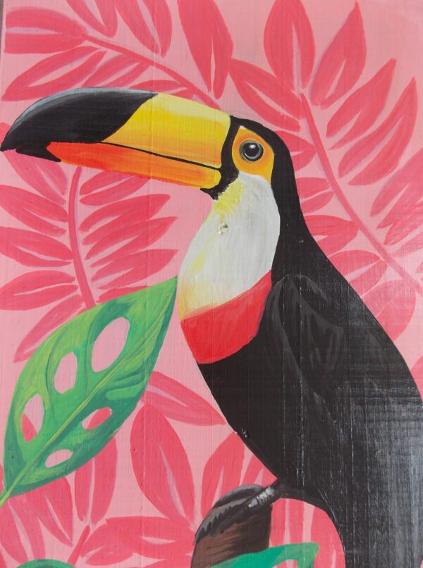 O tucano - Image 2